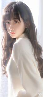藤本树