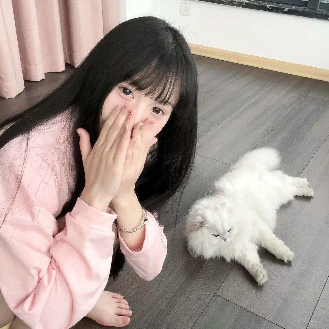 安全屋