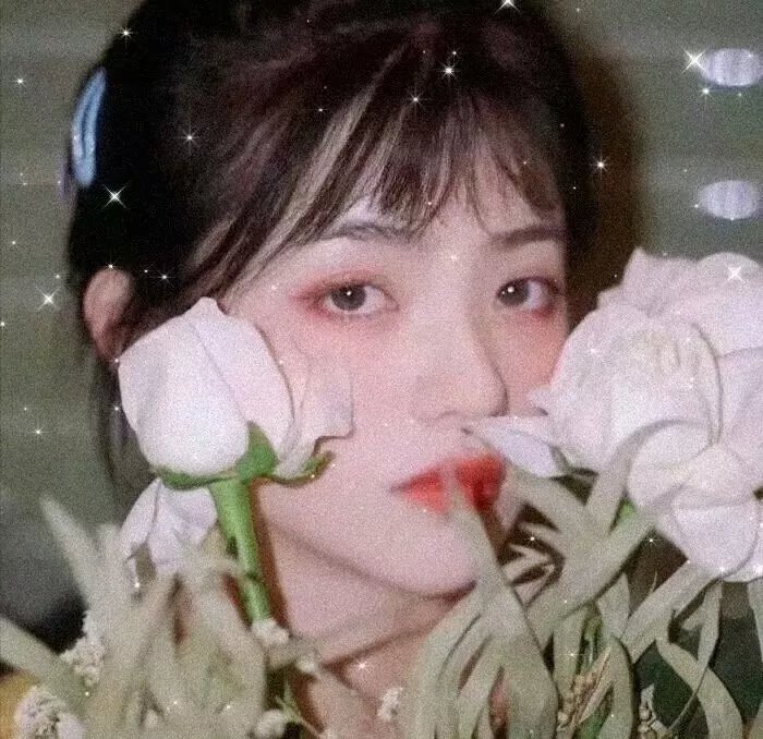 藤本树详情