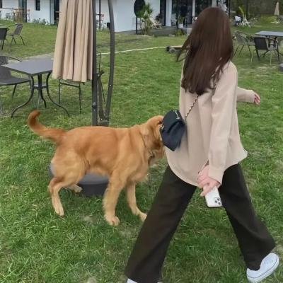 凯文·詹姆斯